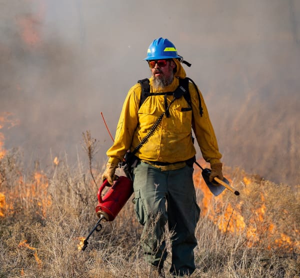 texas wildfire reforms